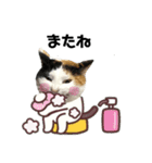 元気いっぱい！やんちゃな、るびたんだよ。（個別スタンプ：19）