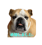 まりりんの気持ち（個別スタンプ：2）