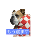 まりりんの気持ち（個別スタンプ：9）