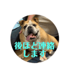 まりりんの気持ち（個別スタンプ：12）