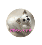 まりりんの気持ち（個別スタンプ：13）