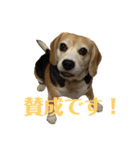 まりりんの気持ち（個別スタンプ：14）