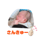 Yuhahahaha☺︎（個別スタンプ：14）