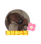 Yuhahahaha☺︎（個別スタンプ：15）