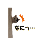 ひょっこり白猫スタンプ（個別スタンプ：3）