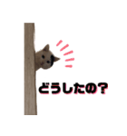 ひょっこり白猫スタンプ（個別スタンプ：5）
