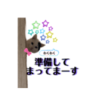 ひょっこり白猫スタンプ（個別スタンプ：21）