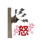 ひょっこり白猫スタンプ（個別スタンプ：22）