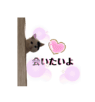 ひょっこり白猫スタンプ（個別スタンプ：24）