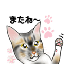 三毛猫ナナさん part1（個別スタンプ：8）