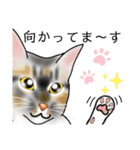 三毛猫ナナさん part1（個別スタンプ：12）
