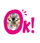 三毛猫ナナさん part1（個別スタンプ：13）