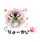 三毛猫ナナさん part1（個別スタンプ：18）