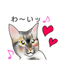 三毛猫ナナさん part1（個別スタンプ：21）