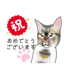 三毛猫ナナさん part1（個別スタンプ：23）