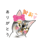 三毛猫ナナさん part1（個別スタンプ：24）