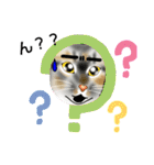 三毛猫ナナさん part1（個別スタンプ：26）