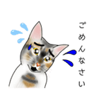 三毛猫ナナさん part1（個別スタンプ：28）