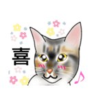 三毛猫ナナさん part1（個別スタンプ：30）