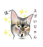 三毛猫ナナさん part1（個別スタンプ：31）