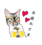 三毛猫ナナさん part1（個別スタンプ：40）