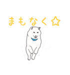 白柴犬のおへんじ（個別スタンプ：9）