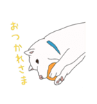 白柴犬のおへんじ（個別スタンプ：36）