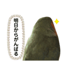 てちてちコザクラインコ2（個別スタンプ：11）