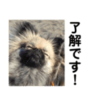 MiLK.PART3（個別スタンプ：1）