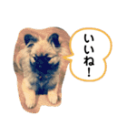 MiLK.PART3（個別スタンプ：4）
