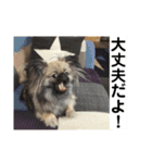 MiLK.PART3（個別スタンプ：6）