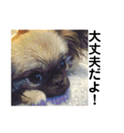 MiLK.PART3（個別スタンプ：7）