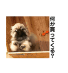 MiLK.PART3（個別スタンプ：13）