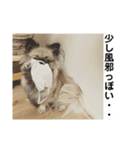MiLK.PART3（個別スタンプ：14）