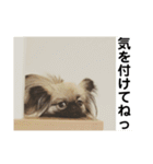 MiLK.PART3（個別スタンプ：16）
