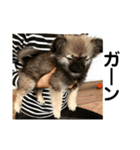 MiLK.PART3（個別スタンプ：17）