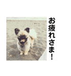 MiLK.PART3（個別スタンプ：18）