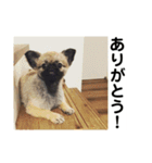 MiLK.PART3（個別スタンプ：19）