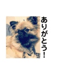 MiLK.PART3（個別スタンプ：20）