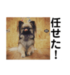 MiLK.PART3（個別スタンプ：22）