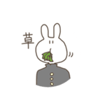 ウサギ(17)です。（個別スタンプ：28）