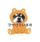 まいにちさくぴーこ（個別スタンプ：4）