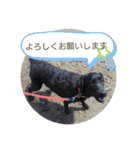 ラブラドールレトリーバーくるみ（個別スタンプ：8）