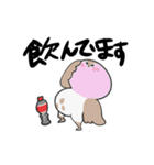 すずめちゅん Lv.2（個別スタンプ：30）