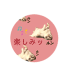 スコスコあんずちゃん♡❶（個別スタンプ：6）