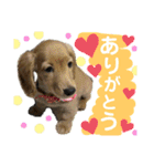保護猫ミーくんとおともだち《第三弾》（個別スタンプ：9）