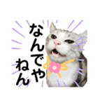 保護猫ミーくんとおともだち《第三弾》（個別スタンプ：33）