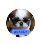 モコタム 2（個別スタンプ：1）