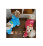 モコタム 2（個別スタンプ：5）