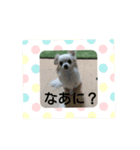 のべこむぎ（個別スタンプ：1）